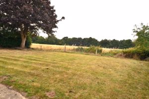 Open Field to Rear- click for photo gallery